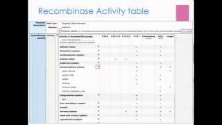 crelox and cre recombinases in Mouse Genome Informatics worksheet module 2 [upl. by Maxie]