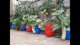 DIY Selfwatering Barrel Planter [upl. by Pembroke]