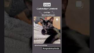 Calendar Contestant 🐾🐈‍⬛️🎊 vlog catvlog calendar cat fypシ゚ fyp calendar contest catshorts [upl. by Doro]