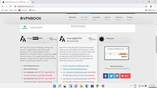 How To Set Up VPNBook FREE VPN on Windows 11 [upl. by Nahtanaoj259]