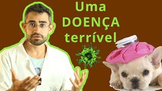 Cinomose  Dica Veterinária 15 [upl. by Adnuhser]