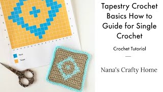 Tapestry Crochet Basics Guide Tips amp Tricks Tutorial [upl. by Dimond311]