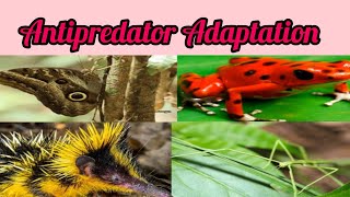 Antipredator Adaptationecology Lec12  By Rubi [upl. by Aniuqal72]