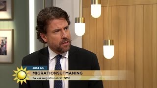 Migrationsverket efter kritiken quotVi gjorde ett bra jobbquot  Nyhetsmorgon TV4 [upl. by Anhsirk]