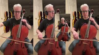 Chat Pile  Masc cello cover clip [upl. by Ykroc]