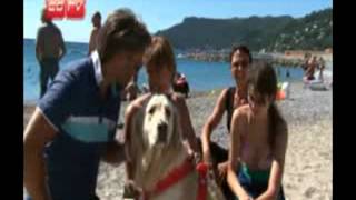 SPOTORNO  SPIAGGIA LIBERA ATTREZZATA PER I CANI [upl. by Athalla]