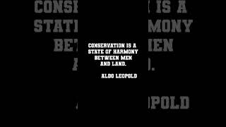 🥺💔 Emotional Quotes For WildlifeConservation is a state of harmony between men and land shorts [upl. by Sisenej]