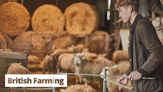 British Farming  Shearing Sheep and Why Farmers do it [upl. by Nyra279]