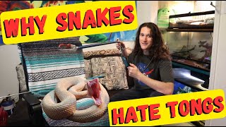 Why Snake Tongs are TERRIBLE for Venomous Snake Handling Hooks Vs Tongs 🐍 Herpin Hippie [upl. by Dewey]