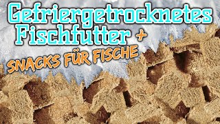 Snacks für deine Fische  Gefriergetrocknetes Fischfutter  Hafttabletten  Gelfutter  Plankton [upl. by Odraode966]