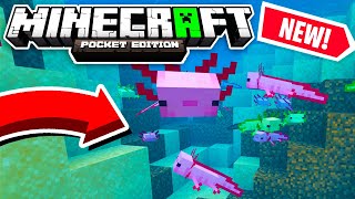 How To Get The AXOLOTL in Minecraft PE  117 Early Update MCPEWin10XboxPS4Switch [upl. by Llerrac]