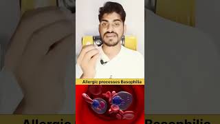 Allergic processes में Basophilia in Hindi and Function anatomy quiz [upl. by Ayik]