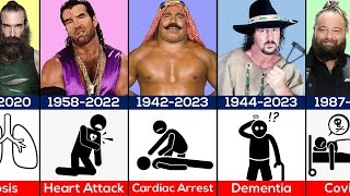 Recent WWE Wrestlers Deaths [upl. by Juliette]