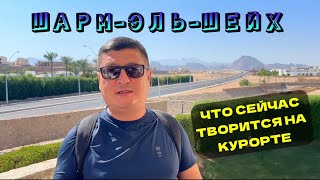 NAAMA BAY PROMENADE BEACH MOUNTAIN 5 В БУХТЕ НААМА БЕЙ ПИТАНИЕ АНИМАЦИЯ ЛЕКАРСТВА В ЕГИПТЕ [upl. by Enenaej]