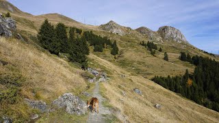 Randonnée pédestre Bisse du Levron en boucle depuis Verbier Les Creux Valais 29102022 [upl. by Eltsryk]