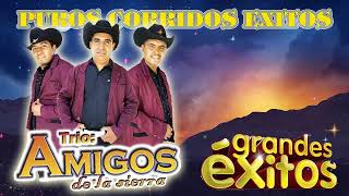 Trio Los Amigos de la sierra Las 30 Sus Mejores Éxitos Canciones  Puros Corridos Exitos [upl. by Oren975]