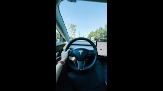 Tesla Model 3 Long Range with Acceleration Boost 060 [upl. by Ecilegna]