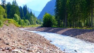 Falcade nelle Dolomiti Belluno  Il sentiero lungo il torrente Cordevole [upl. by Hein965]