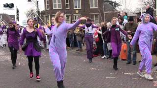 Carnaval Voorhout Drumfanfare Mavileo 2014 [upl. by Koral]