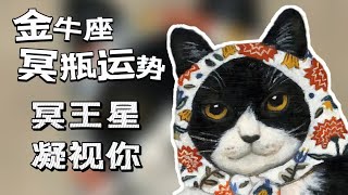 【長期有效】♉冥王水瓶行運之金牛座10宮冥王讓金牛座俯瞰全局 [upl. by Singer]