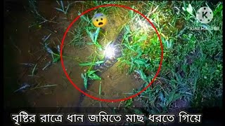 বৃষ্টির রাত্রে ধান জমিতে মাছ ধরতে গিয়ে এত মাছ পাবো জানতাম না 😨।। fishing viralvideo [upl. by Sudoeht161]