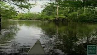 Village Creek Paddling Trail Texas [upl. by Porta]