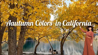 Autumn Colors at Convict Lake California Vlog 3 Oct26 2024 Fall Foliage GO NOW [upl. by Boaten]