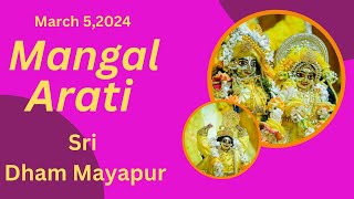 Mangal Arati Sri Dham Mayapur  05 March 2024 [upl. by Winchester]