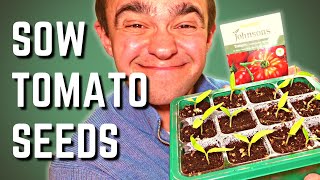 How To Sow Tomato Seeds To Maximise Germination [upl. by Marlea]