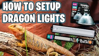 Bearded Dragon Lighting Setup [upl. by Nahtnanhoj]