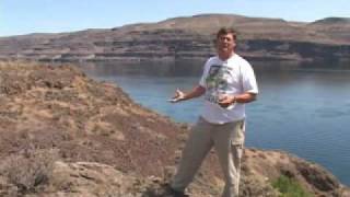 Gingko Petrified Forest Cruisin the Fossil Freeway [upl. by Annaoi]