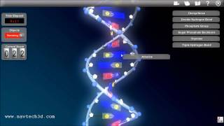 Interactive 3D DNA [upl. by Atnohsal]