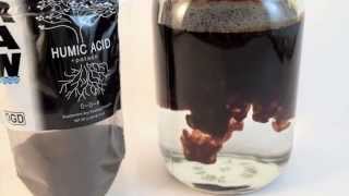 How To Mix Raw Solubles Humic Acid [upl. by Fezoj]