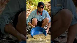 Panning For Gold Finding Gold Deposits in Bedrock Cracks [upl. by Redmer]