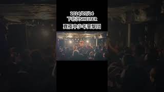 20240724下北沢SHELTER ♪真夜中少年突撃団 stancepunks スタンスパンクス スタパン theforeveryoung エバヤン ジエンプティ shorts [upl. by Raouf381]