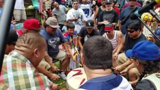 Young Kingbird  Menominee Nation Contest Pw 2017 [upl. by Evette]