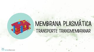 Membrana plasmática  Transporte transmembranar  Biologia e Geologia 10ºano [upl. by Eened]