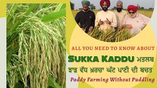 Paddy Cultivation Without Puddling ਸੁੱਕਾ ਕੱਦੂ ਵਿਧੀ ਤਹਿਤ ਝੋਨਾ ਲਾਉ ਝਾੜ ਵਧਾਓ ਖ਼ਰਚ ਘਟਾਉ ਪਾਣੀ ਬਚਾਓ [upl. by Aneehsit]