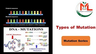 Types of mutation  Types of DNA mutations Mutation types  Different types of mutation [upl. by Noivart772]