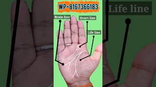 life lineheart line or brain line in palmistry astrology palmistry palm youtube shorts 60s [upl. by Yehs]