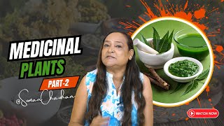 Medicinal Plants Part 2 More Natural Remedies for Your Health [upl. by Nuawad]