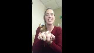 Rock Cycle Hand Motions Review [upl. by Wesa]