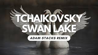 Tchaikovsky  Swan Lake Adam Stacks Remix [upl. by Sinnelg782]