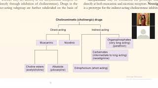 CholinoceptorActivating amp CholinesteraseInhibiting Drugs  Katzung UrduHindi [upl. by Aleekat]