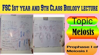 Topic Meiosis lecture prophase part 2 of Meiosis Biology lecture delivered by Maam Samina Khuram 👍 [upl. by Kimberli863]