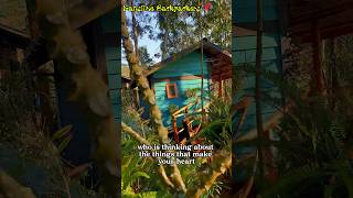 Kansiime Backpackers 2024 tourism uganda [upl. by Lseil]