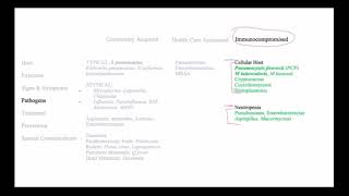 Pneumonia Community Acquired HealthCare Associated and in an Immunocompromised Host [upl. by Jemina70]