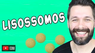 LISOSSOMOS E DIGESTÃO CELULAR  Citologia  Biologia com Samuel Cunha [upl. by Anwahsiek]