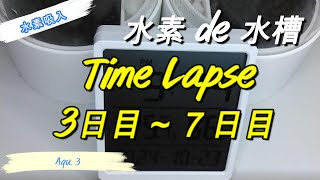 Aqu3：Time Lapse （３日目～７日目） [upl. by Fulbright]