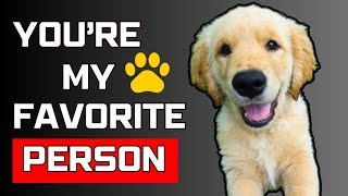 7 Tips to Become Your Dogs Favorite Person [upl. by Ohcamac]